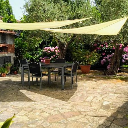 Ferienwohnung A Casa Di Leda Sarzana Exterior foto